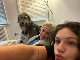 Any advice for a new pet addition?