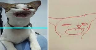 10 Potret Kucing Yang Bikin Tertawa Ngakak Korban Scan Filter Di Tik Tok Menggambar Kucing Kucing Anjing Hewan