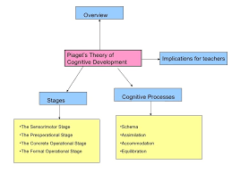 Piagets Theory Of Cognitive Development Piaget Theory