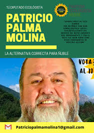 Patricio Palma Diputado
