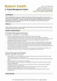 As a consulting analyst, you'll work alongside clients as you help them make a real difference to their customers: Project Management Analyst Resume Samples Qwikresume