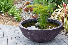Naples Botanical Garden Water Features In The Garden Container Water Gardens Backyard Water Feature