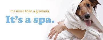 4 out of 5 stars. Dog Grooming Cat Grooming Bubbles Pet Spa