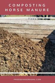 How To Start Composting Your Horse S Manure Http Www Proequinegrooms Com Tips Green Horsekeeping Comp Horse Manure Horse Manure Composting Manure Composting