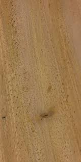 Image result for Anacardium