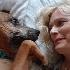 Tilly Staffordshire Bull Terrier