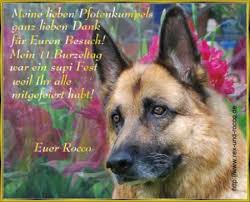 Alles erdenglich gute zum burzeltag, vor allem eine konstant gute gesundheit und immer 1m mindestabstand mit deinem auto zum nächsten :) Buerzeltag Rocco 2008
