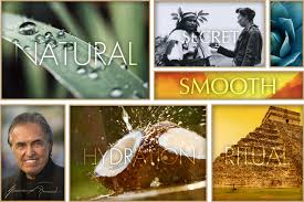Agave healing oil , oil treatment hydrating lightweight hair oil. Agave Oil Treatment Stella Luca