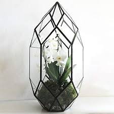 Ferrisland Handmade Black Large Glass Terrarium Irregular Geometric Planter Indoor Air Plants Holde In 2020 Large Glass Terrarium Geometric Terrarium Geometric Planter