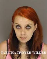 Sheriff Arrests 15 in Drug, Theft Investigation