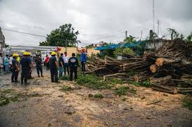We did not find results for: Hurricane Delta Cancun Damage Photos Reveal Storm Destruction And Flooded Streets
