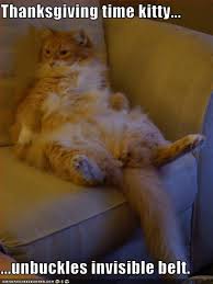 Lolcats Thanksgiving Lol At Funny Cat Memes Funny Cat Pictures With Words On Them Lol Cat Memes Funny Cats Funny Cat Pictures With Words On