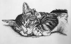 Free shipping on many items. Custom Pen And Ink Cat Drawings By Inspurration The Conscious Cat
