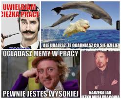 Wicemarszałek senatu odniósł się do wyników w. Memy O Pracy Smieszne Obrazki I Memy Na Temat Pracy I Zatrudnienia Polacy W Robocie Sie Nie Nudza Zdjecia Nowosci Dziennik Torunski