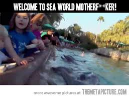 Welcome To Sea World Funny Gif Funny Pictures Funny Animal Memes