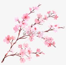 Maybe you would like to learn more about one of these? Watercolor With Spring Tree Branch In Blossom Watercolor Cherry Blossom Flower Png Image Transparent Png Free Download On Seekpng