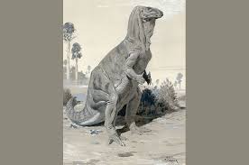 The top of the head is long and thin and sits horizontally. What S Wrong With These Dinosaurs Natural History Museum