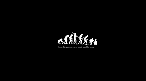 Find the best funny wallpapers hd on getwallpapers. 49 Funny Iphone Wallpaper On Wallpapersafari