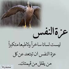 Pin By Fifihassan On صور Fish Pet Pets Holiday Decor