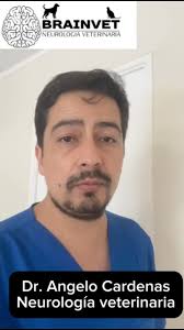 El Dr. Angelo Cardenas @brainvet_neurologia_vet es el encargado de atender  todas las consultas neurológicas de Milo Veterinaria 🧠🐱🐶 , Agenda la  consulta para tu mascota al +56 9 3764 3516. , Los ...