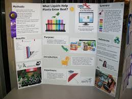 What Liquids Help Plants Grow Best Chemistry Science Fair Projects Plant Science Fair Projects Science Fair Projects Boards