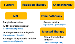 Despite this, pancreatic cancer is among the deadliest types of cancer, which is why it's extremely important to know and recogni. Ijms Free Full Text Pomegranate And Its Components As Alternative Treatment For Prostate Cancer Html