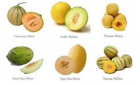 19 Types Of Melons - Which One Have You Been Eating?
