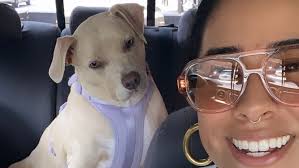 Fundraiser for David Castillo by Ashley Crowe : Help Support Lola's  Chemotherapy Journey