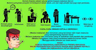 Demam kepialu disebabkan oleh bakteria salmonella typhi. Demam Kepialu Puteri Zulaikha