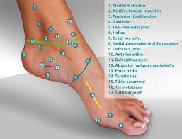 Pin On Foot Help