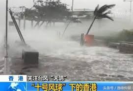 The website collected by this website comes from the. å°é£Ž å±±ç«¹ æ¥è¢­ åå·é£Žçƒ åˆ°åº•æ˜¯ä»€ä¹ˆé¬¼ æ¯æ—¥å¤´æ¡