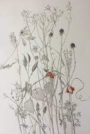 I really enjoy doing flower sketches. Plantae 2020 Selected Artists Botanical Art Artists