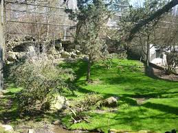 Zoo schmiding in der kategorie österreich. Zoo Schmiding Zoochat