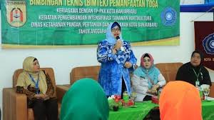 Tujuan dari adanya toga ini adalah untuk memenuhi kebutuhan keluarga terhadap segala macam. Tp Pkk Banjarbaru Belajar Bikin Tanaman Obat Keluarga Di Sekitar Rumah Ini Tujuannya Banjarmasin Post