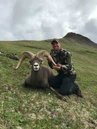 Koryak Snow Sheep Hunt Russia Bookyourhunt Com