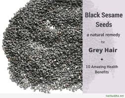 Sesame oil for hair fall treatment. Black Sesame Seeds A Natural Remedy For Grey Hair 10 Amazing Health Benefits Hair Buddha