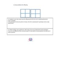 A monohybrid cross is a cross between two organisms with different variations at one genetic locus of interest. Solution Amoeba Sisters Video Recap Monohybrid Crosses Mendelian Worksheet Studypool