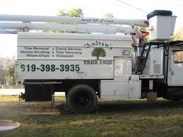 Free local delivery within 10 miles of our hooksett location. Tree Service Wake Forest North Raleigh Tree Cutting Removal Andrew S Tree Pros