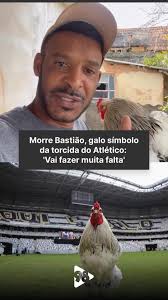 RIP SEBASTIÃO 💔🐔