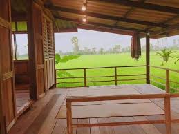 Terima kasih, jemput cuci mata semua 😍 Impian Deco Suasana Rumah Kampung Tepi Sawah Bendang Facebook