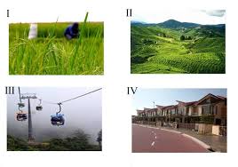 Look through examples of tanah genting translation in sentences, listen to pronunciation and learn grammar. Tanah Pamah Beralun In English Tanah Pamah
