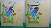 How do different microbial fuel cell designs look like and which one do you think works best? Plant Cell Model Using Waste Materials At Home Diy At Home Craftpiller Youtube