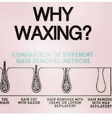 This Is Why Waxing Keeps You So Smooth For So Long Dayton Ohio Waxing Eyebrowwaxing Brazilianwaxing Mensbrazi Esthetician Quotes Waxing Salon Wax Studio