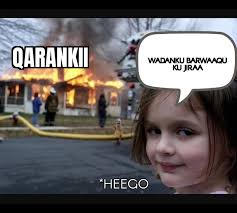 Somaliland World 🇭🇺