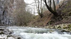 The bigăr rivulet springs some 200 meters away, from a subterranean river traversing the cave the bigăr spring, cave, rivulet, and waterfall are all close to each other, in topography as well as in legend. Bigar Spring 2021 1 Top Things To Do In Caras Severin Romania Cara Severin County Reviews Best Time To Visit Photo Gallery Hellotravel Romania