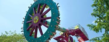 Image result for products named thrill ride