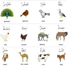 Pin Oleh Amber Godil Di Arabic Language Bahasa Arab Bahasa Belajar