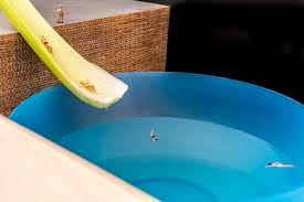 Lezersfoto: de miniatuurwereld van Patrick Herzberg