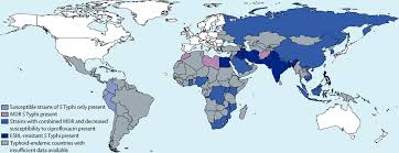 In the first week of symptoms, body temperature rises gradually and relative bradycardia, as well as diarrhea. Typhoid Fever The Lancet