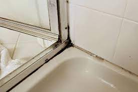 Check spelling or type a new query. Why Is There Black Mold In My Shower Let Sremovemold Com